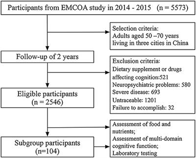 The Effect and Mechanism of Cholesterol and Vitamin B12 on Multi-Domain Cognitive Function: A Prospective Study on Chinese Middle-Aged and Older Adults